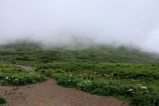 e0137200_22172768.jpg
