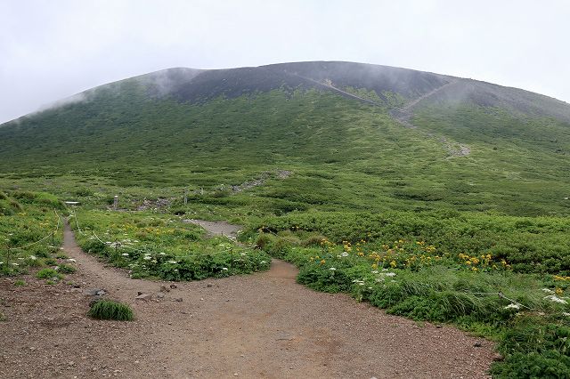 e0137200_22181531.jpg