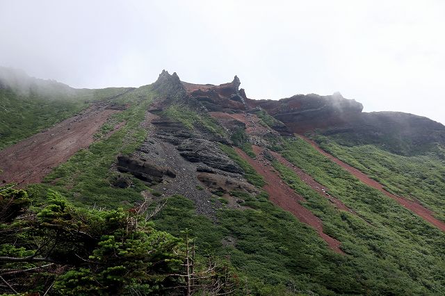 e0137200_22185327.jpg