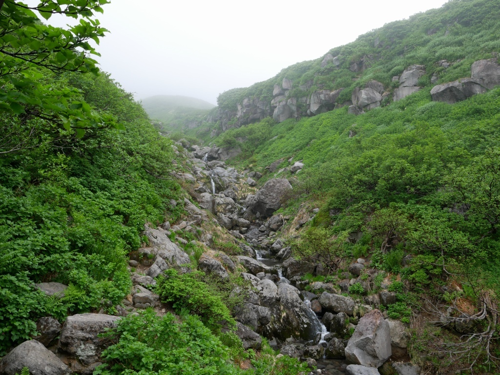 b0050305_19514269.jpg