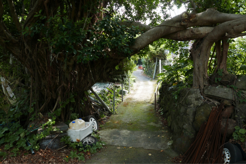 海界の村を歩く 東シナ海 悪石島_d0147406_16253326.jpg