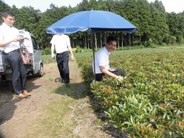 全国農福連携推進協議会の会長・濱田健司さんと回った富士市の「農福連携」の取り組み_f0141310_08175879.jpg