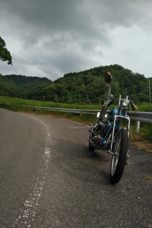 今日は作業集中日なの..._a0159215_23482821.jpg