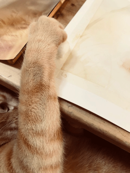 e0195115_18224267.gif