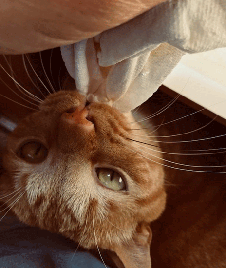 e0195115_18225027.gif