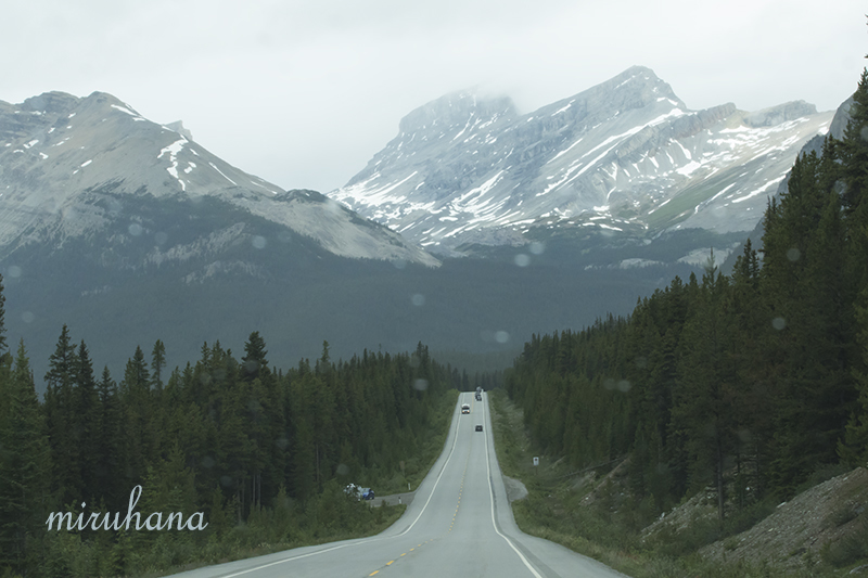 ベアと遭遇 in Canada_c0037519_09572148.jpg