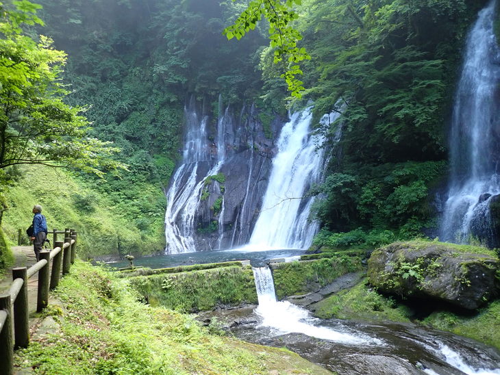 f0193521_455243.jpg