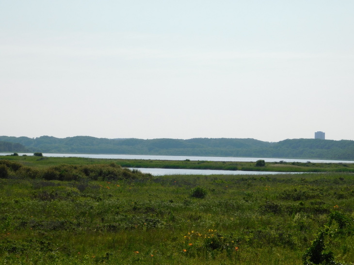 c0191622_02084048.jpg