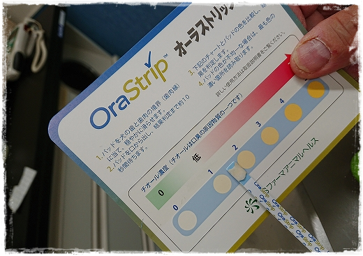 d0179828_17390907.png
