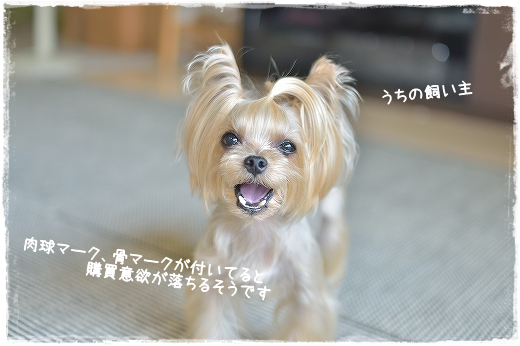 d0179828_20063009.png