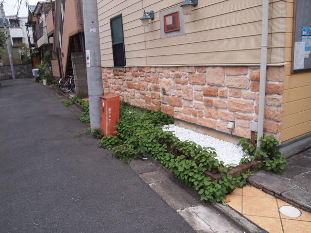 a0214329_22401918.jpg