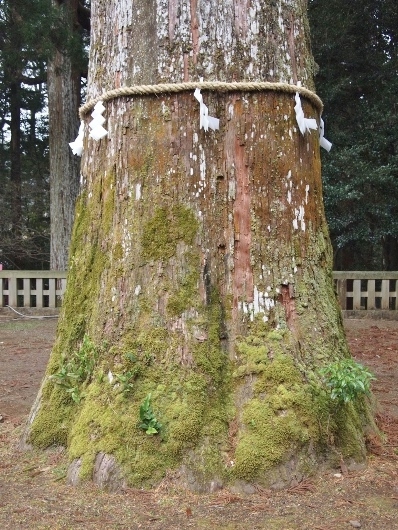 f0013029_20111517.jpg