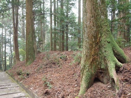 f0013029_20115150.jpg