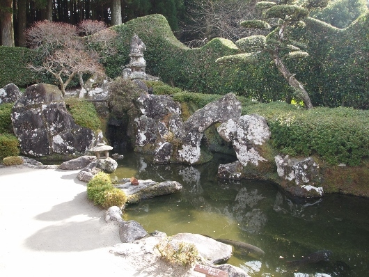 f0013029_20123299.jpg