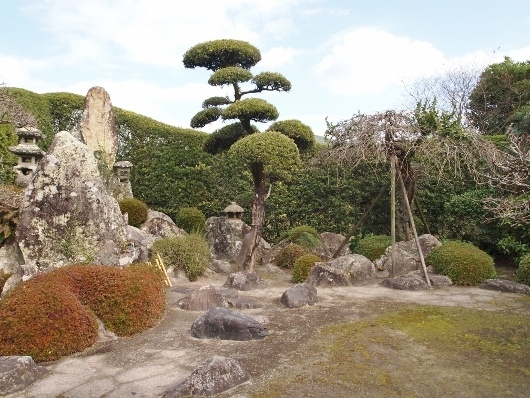 f0013029_20124300.jpg