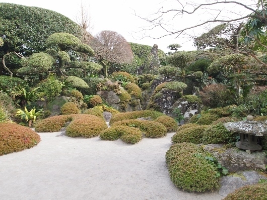f0013029_20131157.jpg