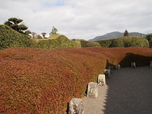 f0013029_20132108.jpg