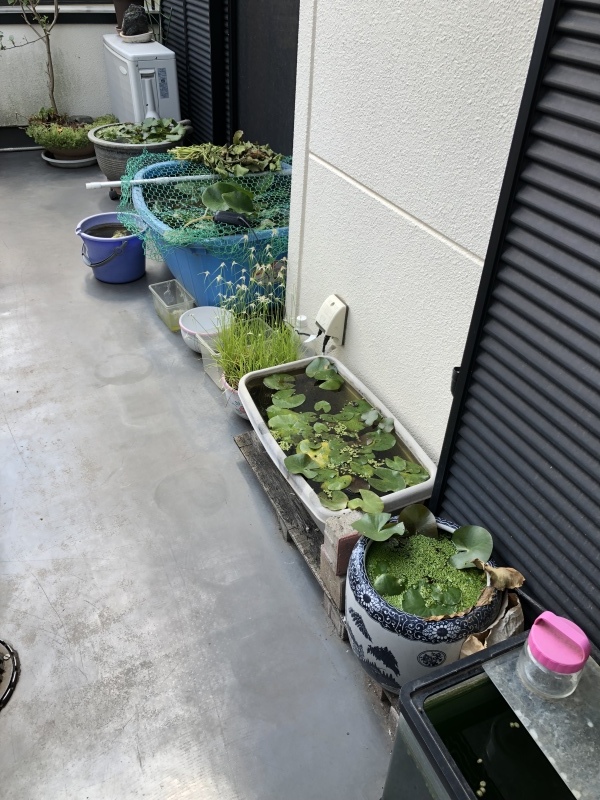 d0359930_22583514.jpeg