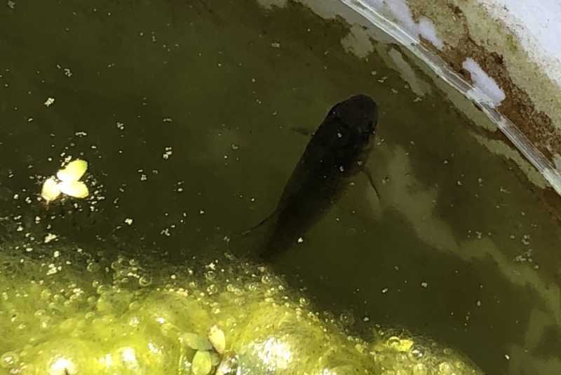 d0359930_23013629.jpeg