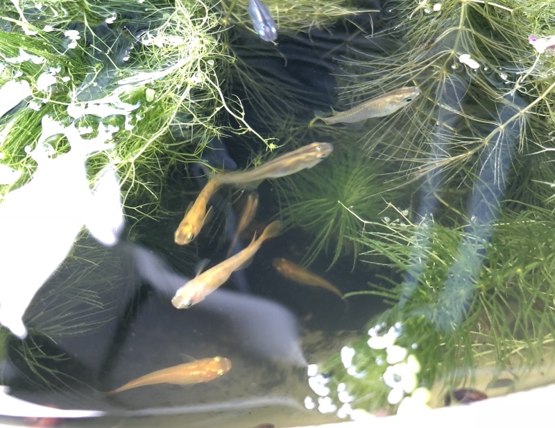 d0359930_23402635.jpeg