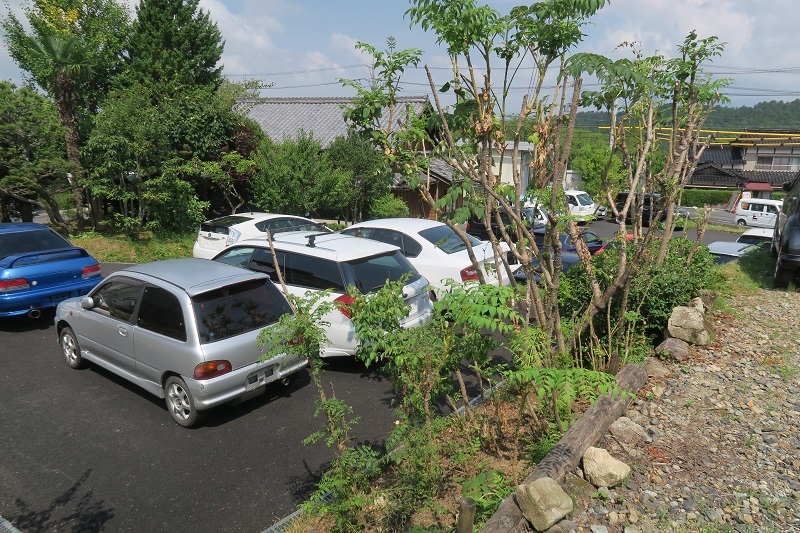 コンチネンタルから最新情報が届く_f0076731_16425881.jpg