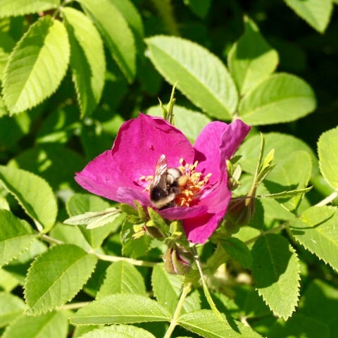 a0329935_11084144.jpeg