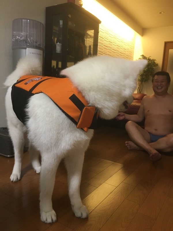 e0364035_22462551.jpeg