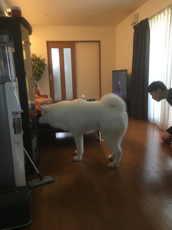 e0364035_23053206.jpeg