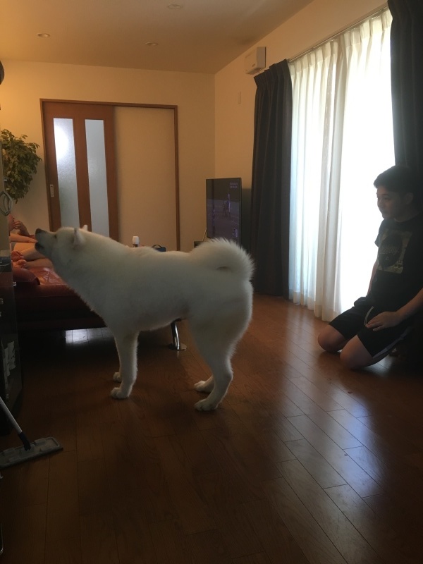 e0364035_23064973.jpeg