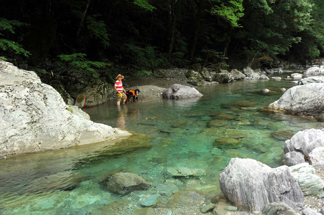 ロジャー、３回目の川遊びは仁淀川まで～♪（その①）_b0075541_1426073.jpg