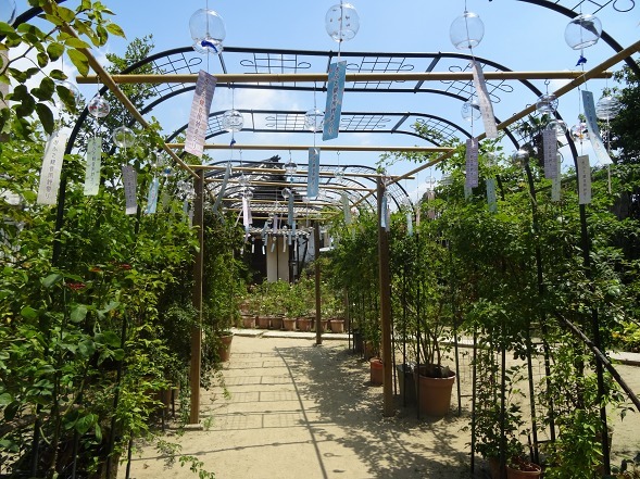 b0299042_23241685.jpg