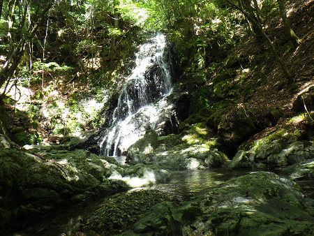 東ノ川・奥西ノ谷　三つの滝を巻くのが恐かったぁ～【台高】7/21_d0387443_09544296.jpg