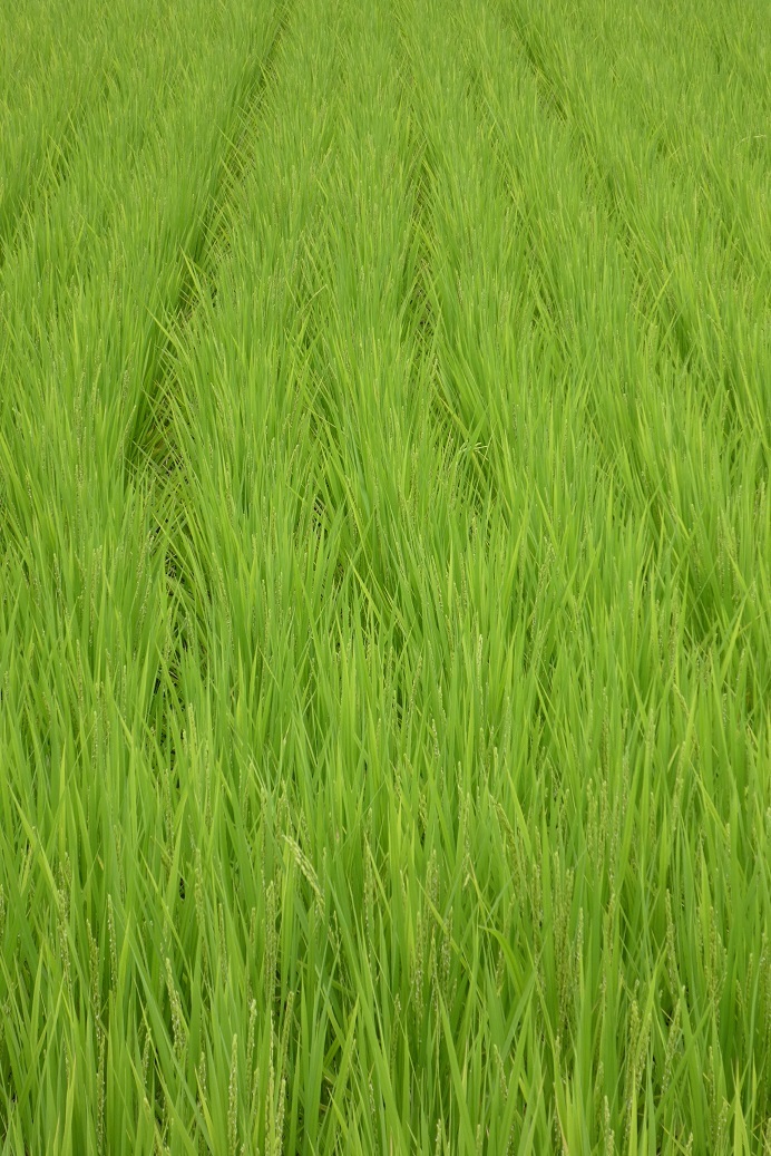 d0288144_17141033.jpg