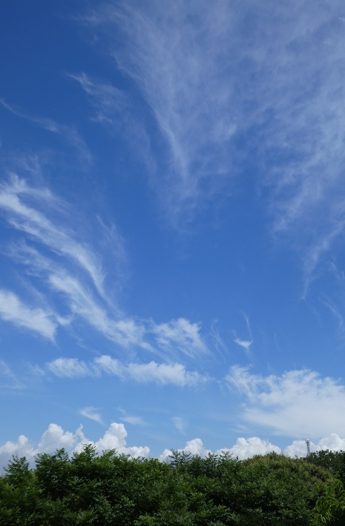 d0288144_19165857.jpg