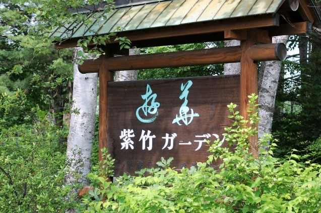 d0377645_23322000.jpg