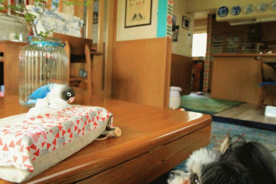c0145250_09151283.gif