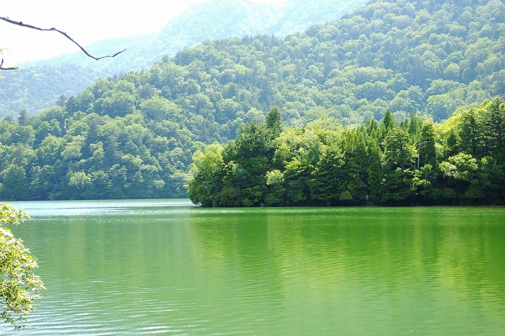 b0236251_11062228.jpg