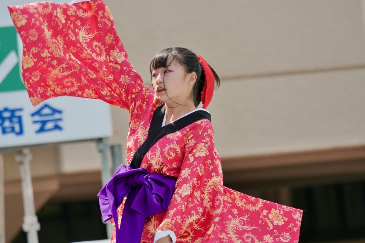 ２０１８加古川踊っこまつり２日目その３０（おどり屋　笑颱その１）_a0009554_22202316.jpg