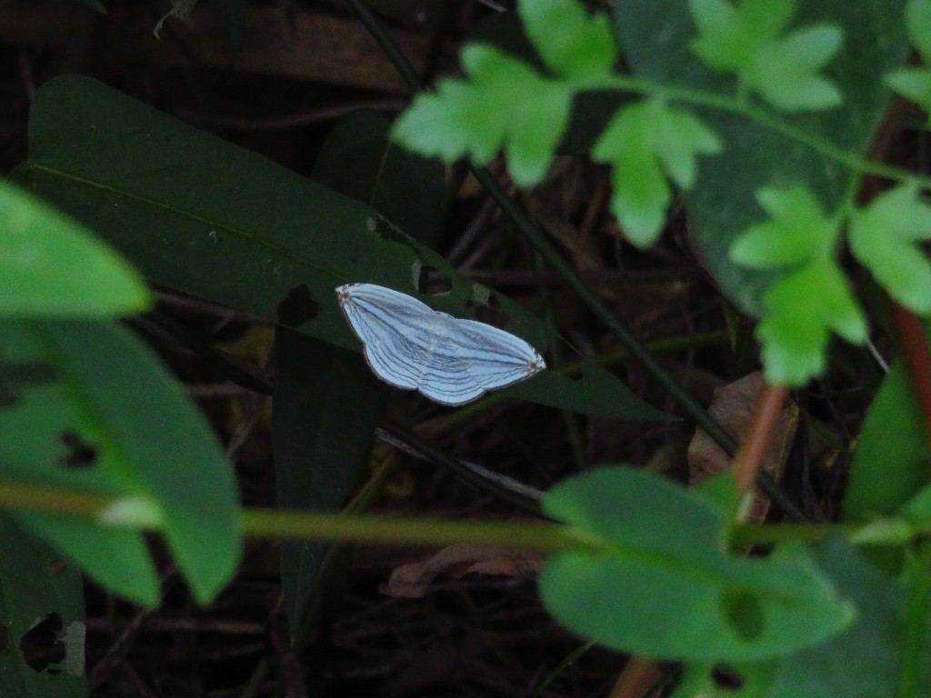 a0018655_14032904.jpg