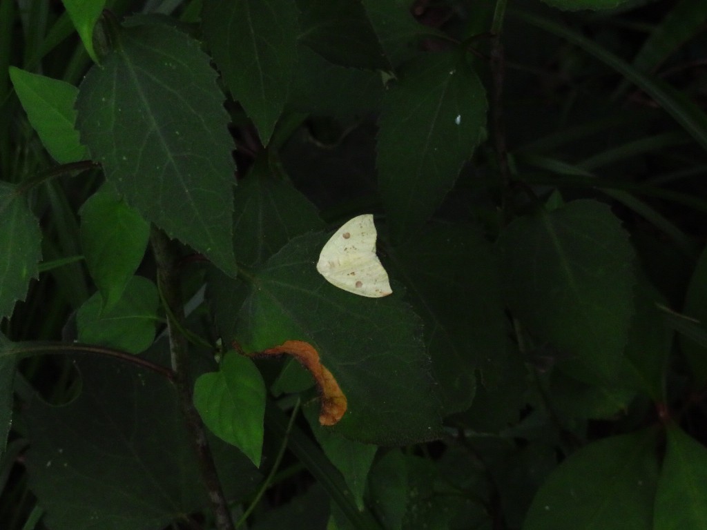 a0018655_14033048.jpg