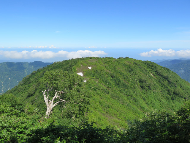 2018年7月14日～16日　栂海新道（1日目：北又小屋～朝日小屋）_c0116856_20242642.jpg