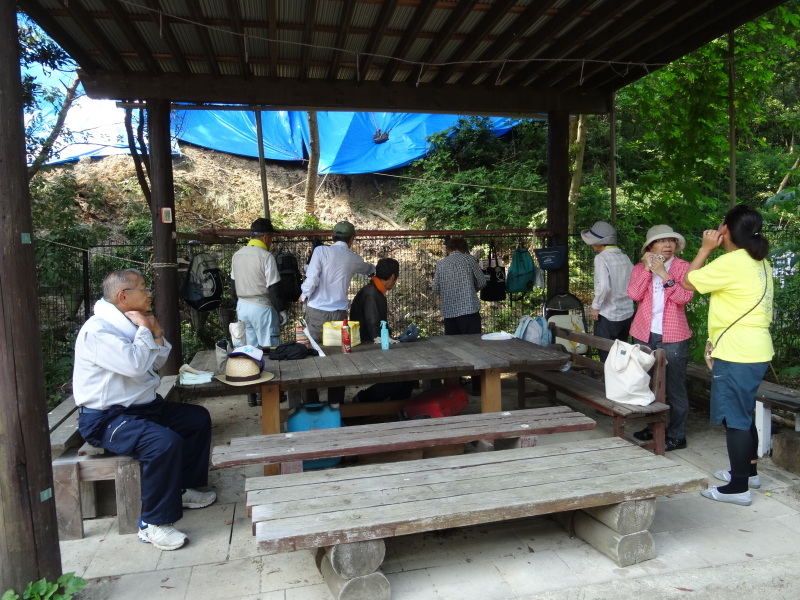 災害後の花の広場片付け継続・土井府議視察・・・うみべの森_c0108460_15312035.jpg