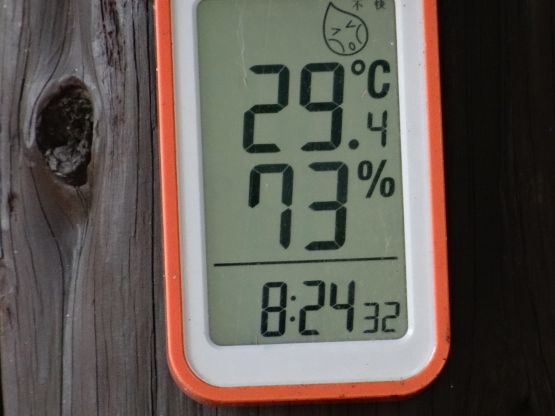 c0108460_15383382.jpg