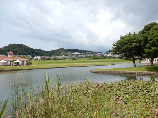 ’18,7,26(木)暑さも小休止!_f0060461_09381745.jpg