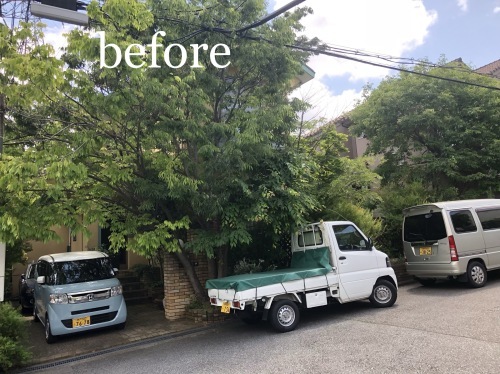 真夏のお庭のお手入れ_f0215262_19394570.jpeg