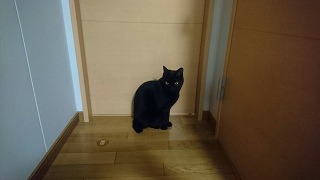 c0248067_14161913.jpg