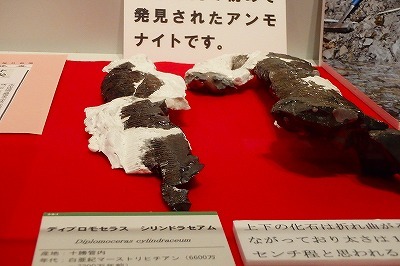 b0171771_05061952.jpg