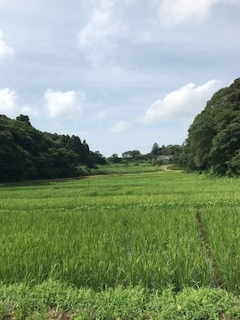 土用_b0034072_17365721.jpg