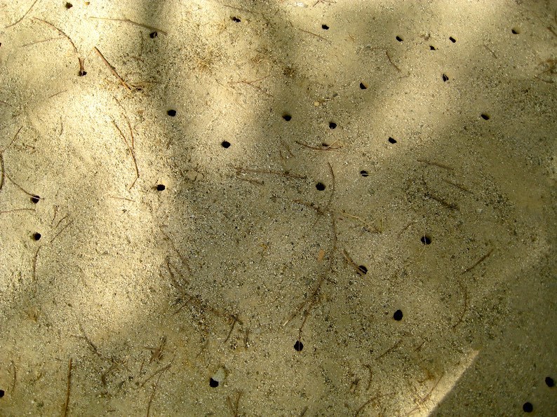 b0057679_08532141.jpg