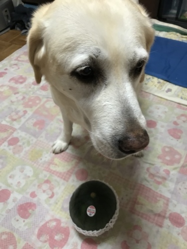 f0315081_20152014.jpeg